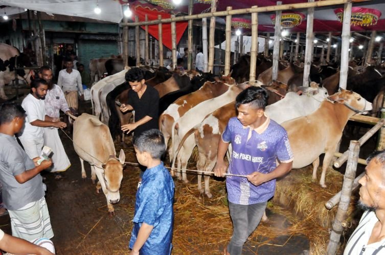 সিলেটে শেষ মুহূর্তে জমে উঠতে পারে কোরবানির পশুর হাট