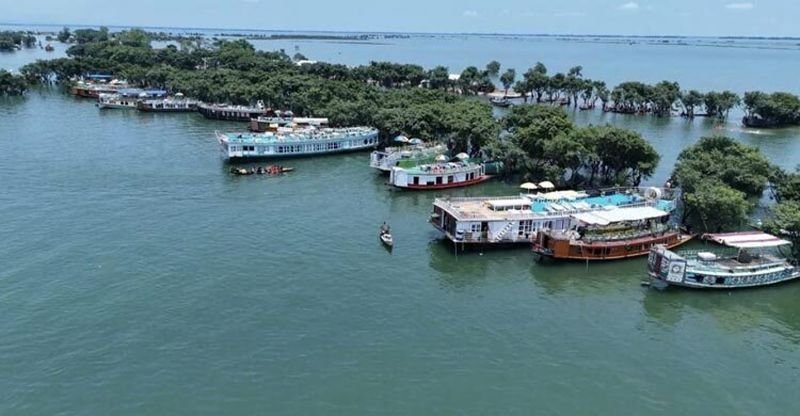 সুনামগঞ্জে টাঙ্গুয়াসহ বিভিন্ন হাওরে অতিথি পাখির আগমন কমছে