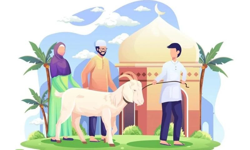 অংশীদারির ভিত্তিতে কোরবানি করার নিয়ম কী