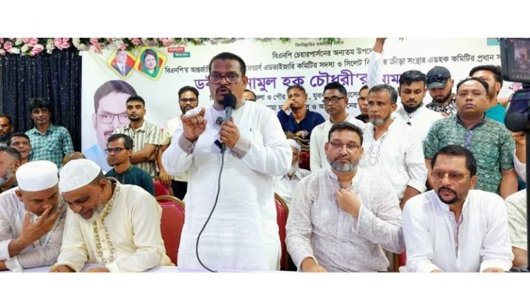 দেশের স্থিতিশীলতার জন্য দ্রুত জাতীয় নির্বাচন প্রয়োজন : ড. এনামুল হক চৌধুরী