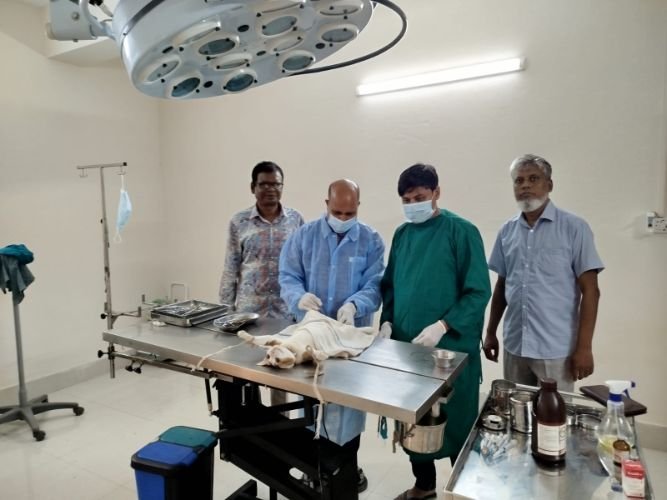 টিলাগড়ে পোষা প্রাণীর জন্য বিশেষায়িত হাসপাতাল, নামমাত্র ফি-তে মিলছে চিকিৎসাসেবা