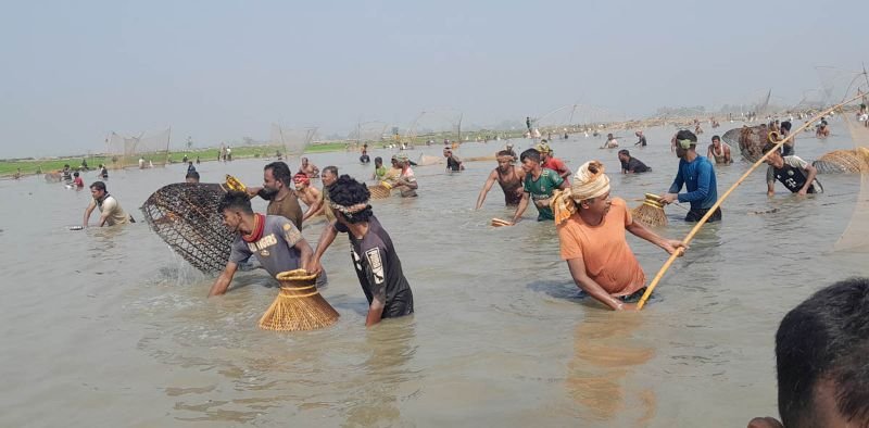 বানিয়াচংয়ের বড়য়ান বিলে ঐতিহ্যবাহী পলো বাওয়া উৎসবে সহস্রাধিক মৎস্যশিকারীর অংশগ্রহণ