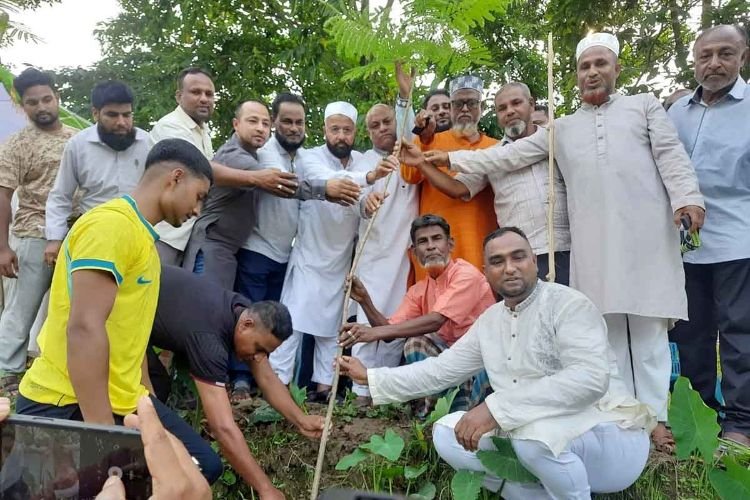 বালাগঞ্জে বৃক্ষরোপণ : অপরাধীদের কঠিন বার্তা দিলেন এমপি মালিক