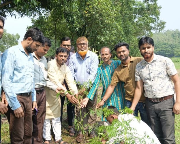 জৈন্তাপুর নিজপাট ইউনিয়নে বৃক্ষরোপণ কর্মসুচির উদ্বোধন 