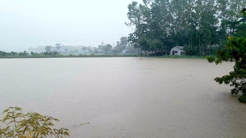 টানা বৃষ্টি ও পাহাড়ি ঢলে নবীগঞ্জে নদ-নদীর পানি বৃদ্ধি