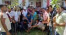 প্রধানমন্ত্রীর অঙ্গীকার বাস্তবায়নে বছরজুড়ে বৃক্ষ রোপণ করতে হবে- অ্যাড. পাবেল চৌধুরী