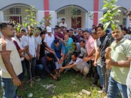 প্রধানমন্ত্রীর অঙ্গীকার বাস্তবায়নে বছরজুড়ে বৃক্ষ রোপণ করতে হবে- অ্যাড. পাবেল চৌধুরী