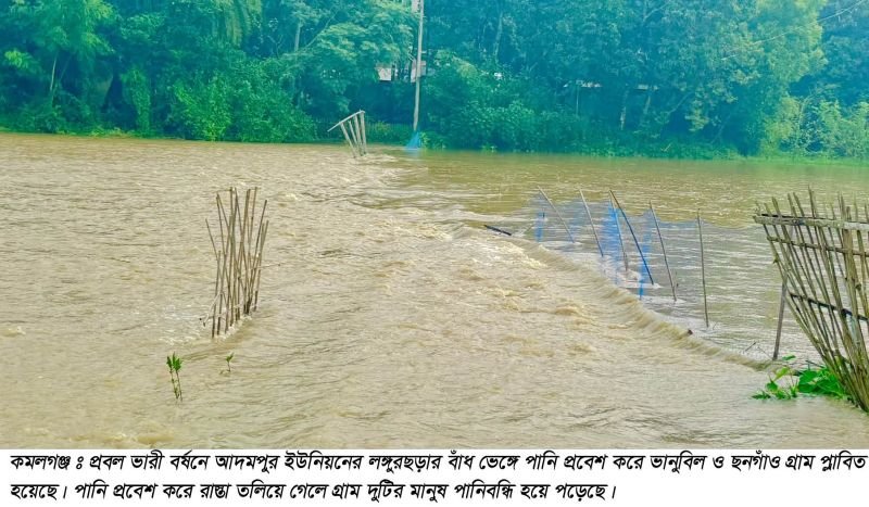 কমলগঞ্জে বৃষ্টি ও পাহাড়ি ঢলে বন্যা, ক্ষতিগ্রস্থ সড়ক ও ফসল