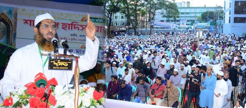 গণভোটের রায় বাস্তবায়ন না করে সরকার জনগণের সাথে প্রতারণা করেছে- মামুনুল হক