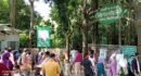 পর্যটকের ঢল লাউয়াছড়ায় 