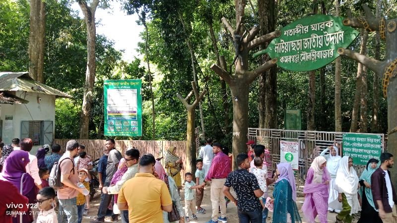 পর্যটকের ঢল লাউয়াছড়ায় 