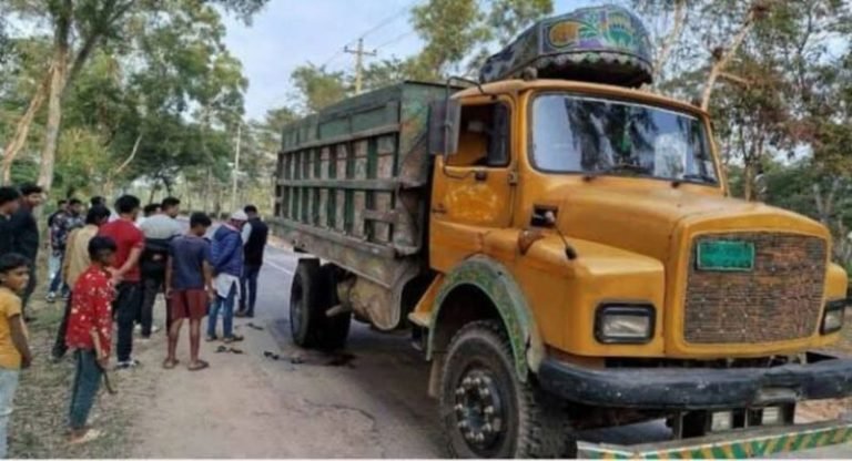 চা-বাগানের রাস্তায় গাছ ফেলে ডাকাতি