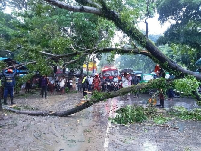 সিলেট সরকারি কলেজ সড়কে গাছ ভেঙ্গে পড়ে যানজট সৃষ্টি