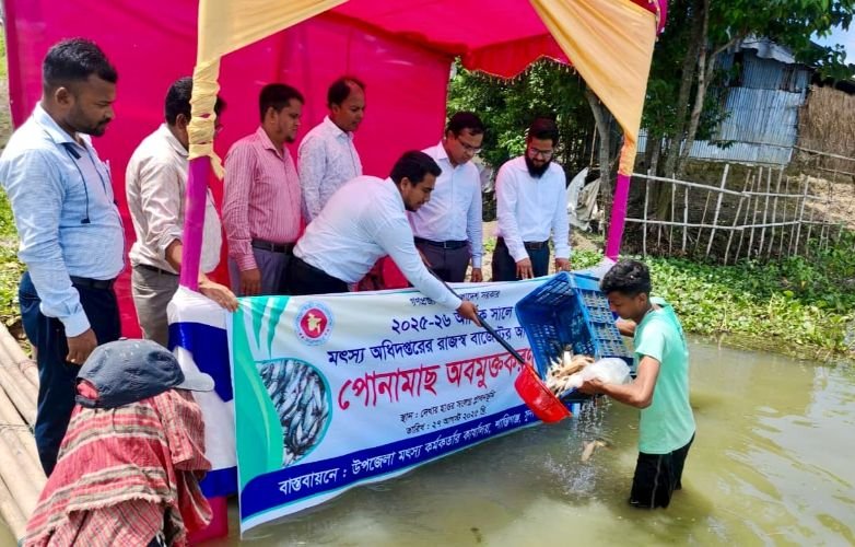 শান্তিগঞ্জে ৫০০ কেজি পোনামাছ অবমুক্ত