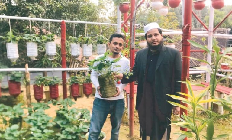 রেজাউলের শখের বাগানে দেশি-বিদেশি নানা জাতের ফল