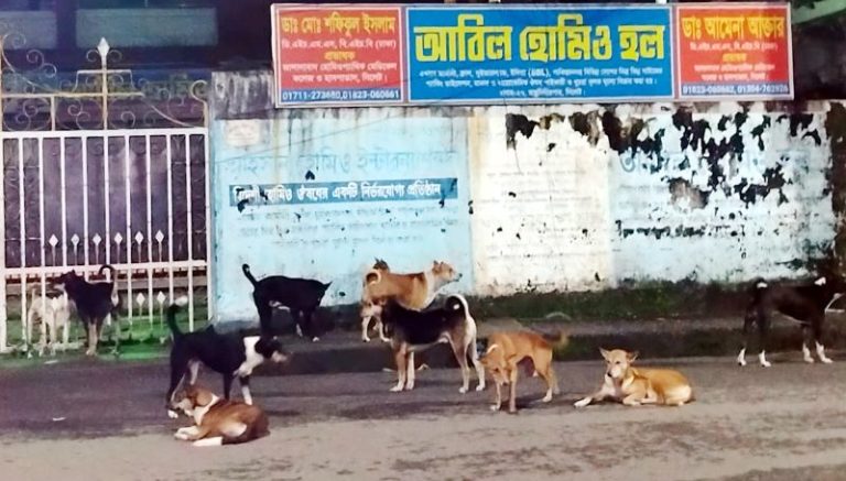 বাড়ছে কুকুরের আগ্রাসী আচরণ, সিটি কর্পোরেশনে নেই ভ্যাক্সিন বাড়ছে কুকুরের আগ্রাসী আচরণ, সিটি কর্পোরেশনে নেই ভ্যাক্সিন