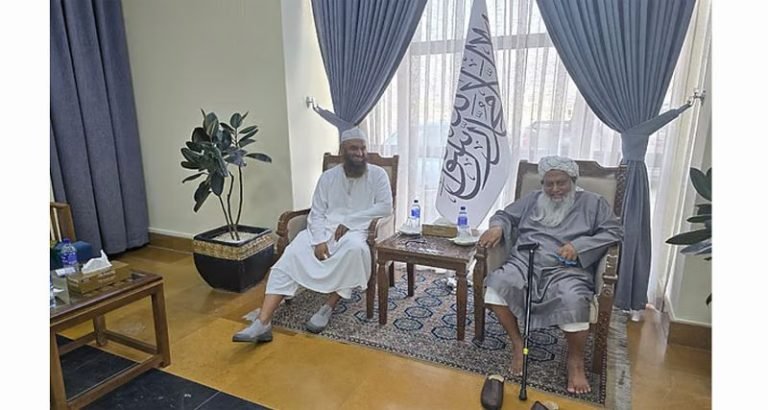 তালেবানের আমন্ত্রণে আফগানিস্তান গেলেন মামুনুল হকসহ সাত আলেম