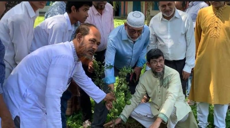 সুনামগঞ্জে ‘অমরাবতি’র বৃক্ষরোপণ অনুষ্ঠিত