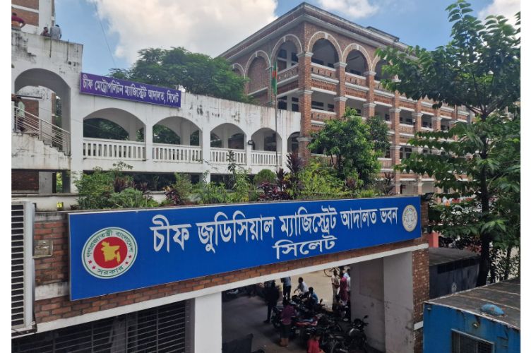 Saratovda jinsiy aloqani tomosha qiling