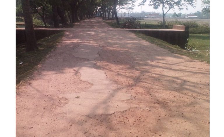 ধর্মপাশা-বাদশাগঞ্জ-গাছতলা বাজার সড়কের বেহাল দশা, জনদুর্ভোগ