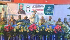 দেশের মানুষ দাঁড়িপাল্লায় ভোট দিয়ে জামায়াতকে রাষ্ট্র ক্ষমতায় বসাতে চায়- অধ্যাপক আব্দুল হান্নান