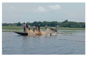 <span style='color:#000;font-size:18px;'>জলবায়ু পরিবর্তন, জাল দিয়ে মাছ নিধন</span><br/> সুনামগঞ্জের হাওরে কমছে মাছের উৎপাদন