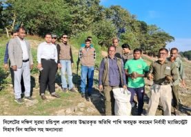 সিলেটে বস্তাবন্দী ৫৬টি পাখি উদ্ধারের পর আকাশে অবমুক্ত