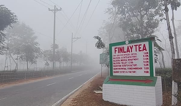 শ্রীমঙ্গলে তাপমাত্রার পারদ নামল ১১ ডিগ্রিতে : জনজীবন বিপর্যস্ত