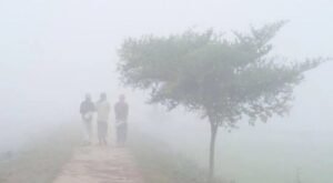 শীতে কাঁপছে শ্রীমঙ্গল