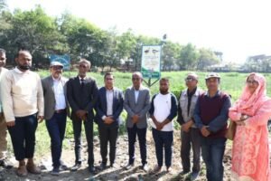 বিশ্ব জলাভূমি দিবসে ঘাসিটুলায় পাখি সুরক্ষার বিলবোর্ড স্থাপন