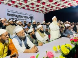 <span style='color:#000;font-size:18px;'>চতুল বাজারে জনসভায় বক্তারা</span><br/> উবায়দুল্লাহ ফারুকের বিজয় মানে স্বাধীনতার পক্ষের শক্তির বিজয়