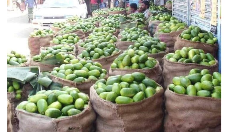 ‘লেবুর স্বর্গরাজ্য’ শ্রীমঙ্গলে লেবুর আকাশছোঁয়া দাম