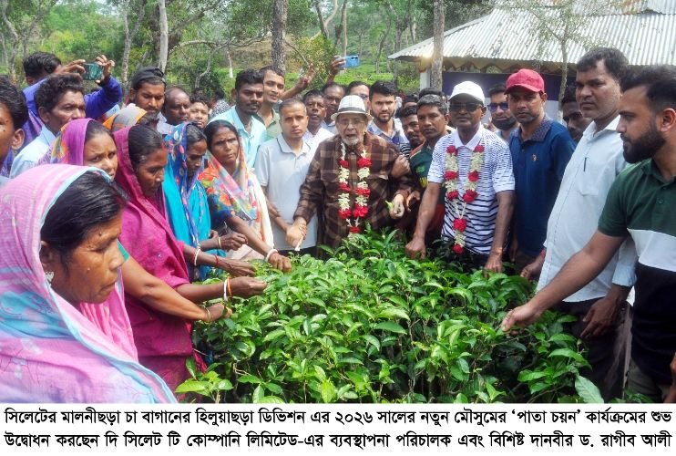 <span style='color:#000;font-size:18px;'>হিলুয়াছড়া ডিভিশনে ‘পাতা চয়ন’ উৎসব</span><br/> চা শিল্পের সাথে সিলেটের ইতিহাস ও ঐতিহ্য মিশে আছে- ড. রাগীব আলী