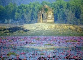 শাপলা বিলের রহস্যময় সমাধিসৌধ!