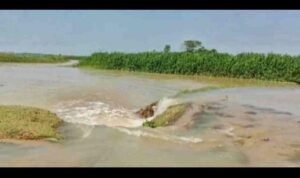 সুনামগঞ্জে বৃষ্টিতে স্বস্তি নামলেও বাঁধে উৎকণ্ঠা