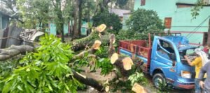 দিরাইয়ে ঘুর্ণিঝড়ে ব্যাপক ক্ষয়ক্ষতি, গাছ উপড়ে ঘরবাড়ি লণ্ডভণ্ড