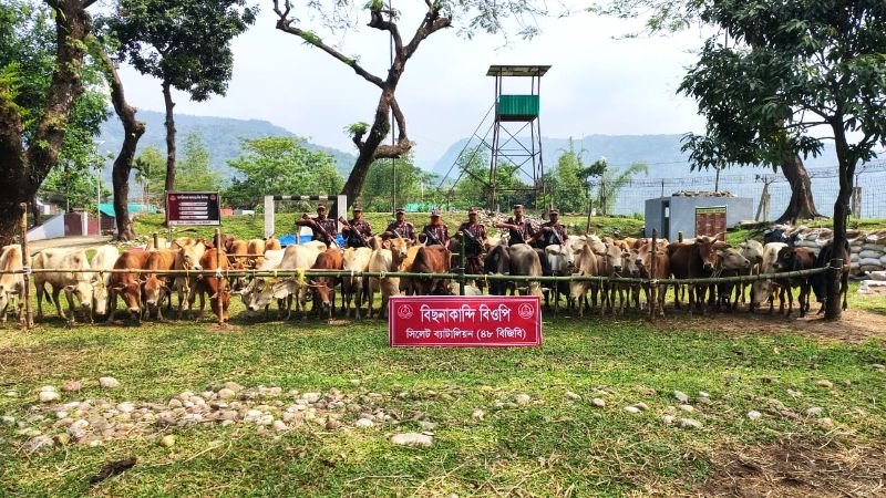 সিলেটে কোটি টাকার চোরাচালানী মালামাল আটক