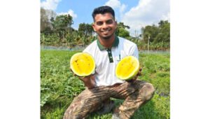 শখের বসে হলুদ তরমুজ চাষে খোর্শেদ আলমের সাফল্য
