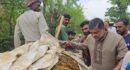 হাওর রক্ষায় সরকারকে মেগা প্রকল্পে হাত দিতে হবে- দিরাইয়ে শিশির মনির