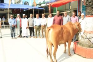 শাহজালাল (রহ.) মাজারের ওরসে প্রধানমন্ত্রীর গরু উপহার : হস্তান্তর করলেন সিসিক প্রশাসক 