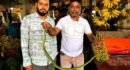 শ্রীমঙ্গলে কলার দোকানের সিন্ধুকের নিচে মিলল বিরল বৃক্ষবাসী সাপ