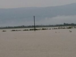 গোয়াইনঘাটে ভারী বর্ষণ ও পাহাড়ি ঢলে নিম্নাঞ্চল প্লাবিত