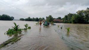 কমলগঞ্জের নিম্নাঞ্চলে বন্যা পরিস্থিতির অবনতি