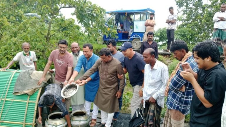 দিরাইয়ে হাওরে লক্ষাধিক মাছের পোনা অবমুক্ত