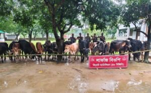 সিলেট সীমান্তে আড়াই কোটি টাকার ভারতীয় পণ্য জব্দ