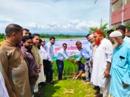 গোয়াইনঘাটে আলীরগাঁও ইউনিয়নে বৃক্ষরোপণ ও চারা বিতরণ